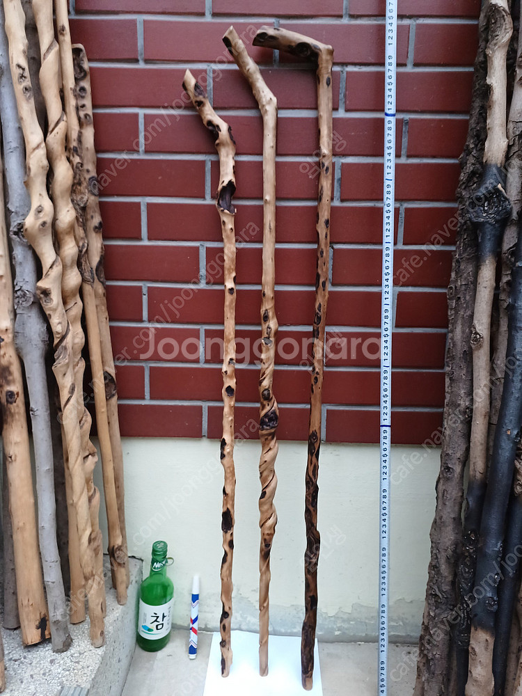 연수목 등산스틱 지팡이--3