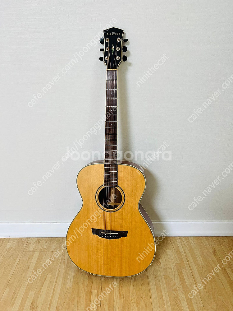 파크우드 기타 PW320M--0