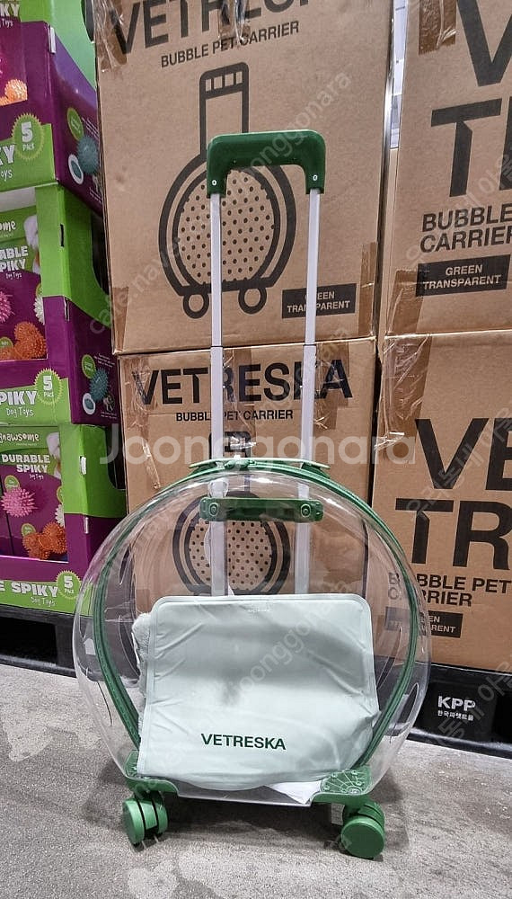 vetreska 버블 펫 캐리어 고양이 투명 이동장--0