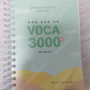 이동기 VOCA 3000