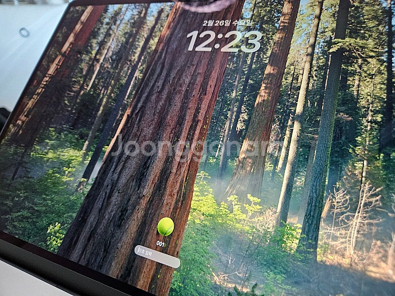 맥북프로 2019 i9 32GB 1TB 판매합니다.--6