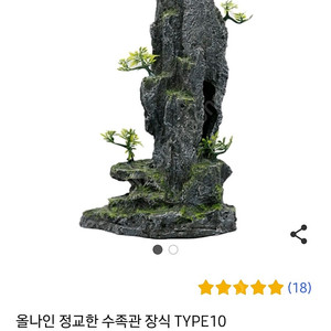 수족관 장식