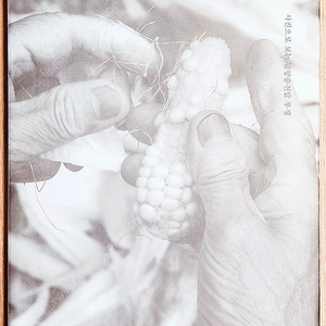 밀양 10년의 빛 사진으로 보는 밀양 송전탑 투쟁 사진집 논픽션 노동 자료집 송전탑 포토북 운동 고전