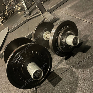 로그피트니스 로더블 덤벨 로그덤벨 rogue roguefitness 덤벨봉 ROGUE LOADABLE DUMBBELLS DB-10