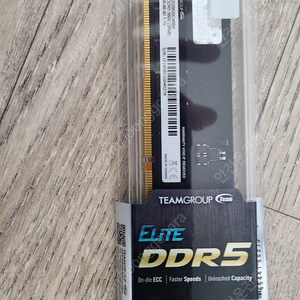 teamgroup ddr5 5600 32gb 단일