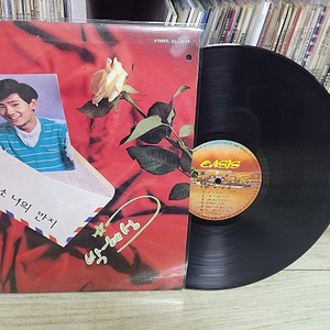 박혜성 lp
