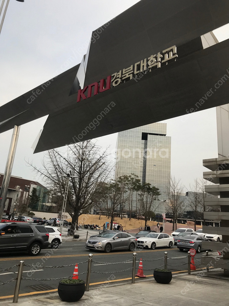 경북대 과잠 구합니다--0