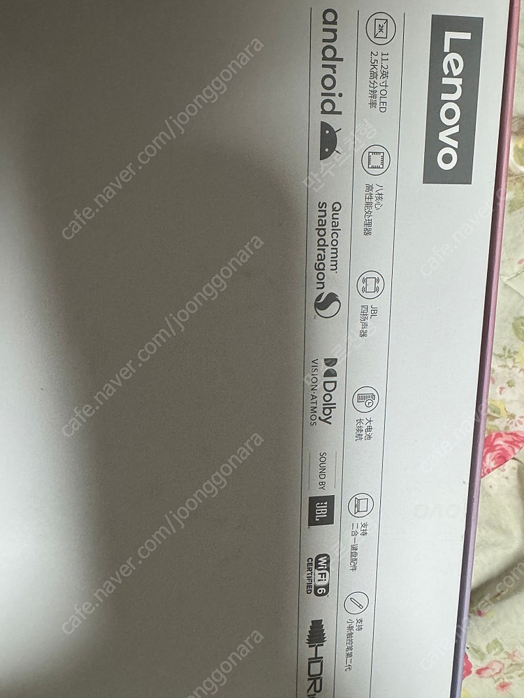 샤오신패드 프러 2022 용팡이 최저가--3