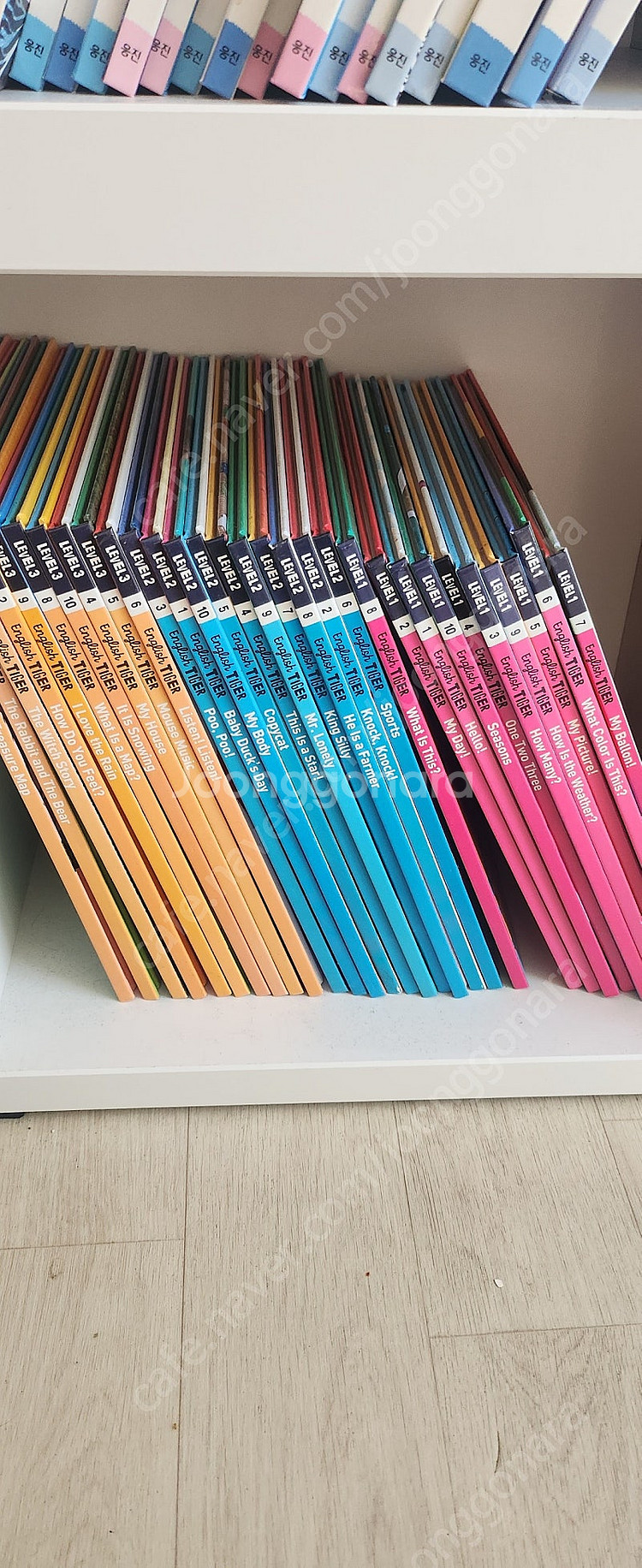 잉글리쉬타이거--0