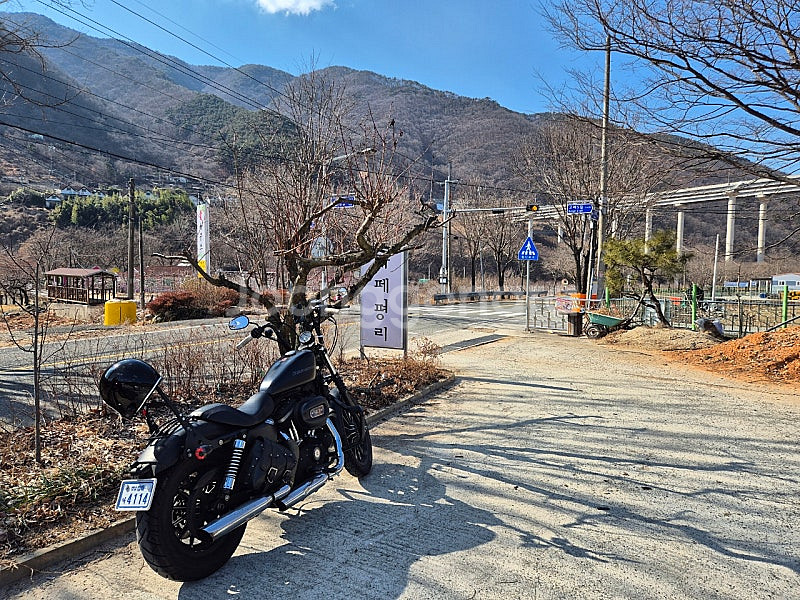 할리데이비슨 883--0