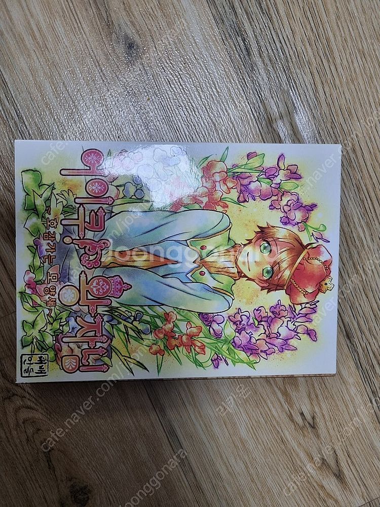 (성인판)어이쿠왕자님 구판 CD 매뉴얼집 팝니다.--0
