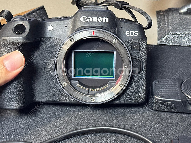 캐논 EOS R8 미러리스 풀프레임 카메라 판매합니다.--2