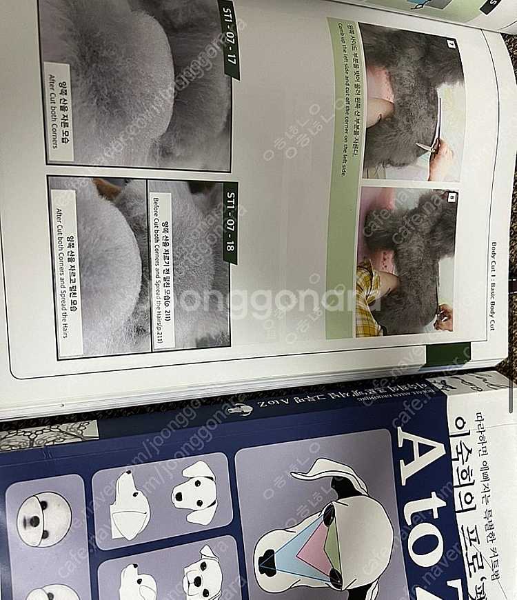 이숙희 프로펫셔널 그루밍 책 1권 2권--0