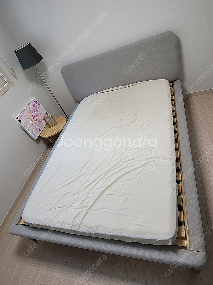 코알라 패딩턴 패브릭 침대 프레임(퀸)--1