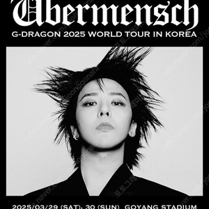 지드레곤 GD 콘서트 30일 삽니다 2연석