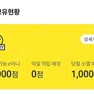 이마트 이머니(e머니) 천원 -> 500원에 판매