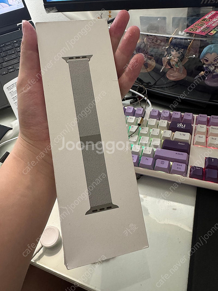 애플 정품 밀레니즈루프 44mm--3