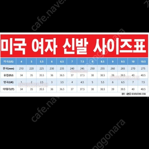 클라이밍 여자 슈즈 230-235