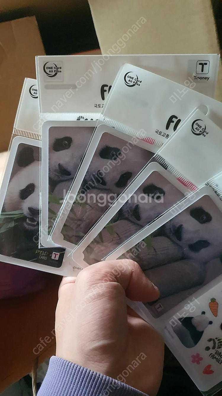 푸바오 교통카드--0