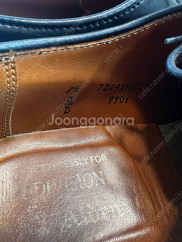 알든 9901--1