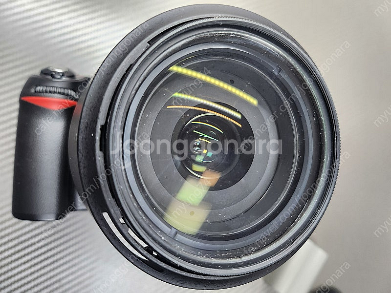 니콘 D80 + 니콘18-200 VR 렌즈 등--4