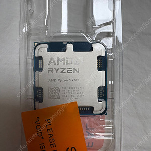 AMD Ryzen 5 9600