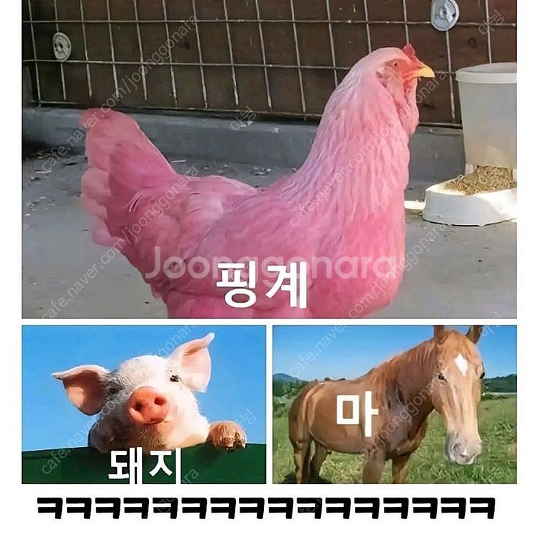 추천인X 레전드오브이미르 3회 ㅇㅈ 2천원에 삽니다. ...--0