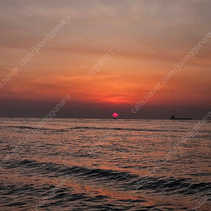 R5로 R5마크2 추가금 드리고 구매원합니다