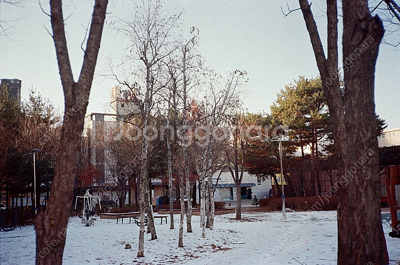 코니카 C35 AF2D--8