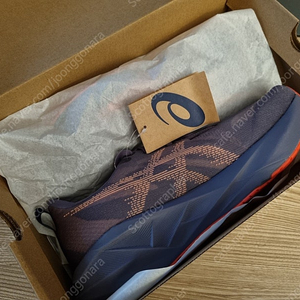 아식스 노바블라스트5 그레이색상 285mm