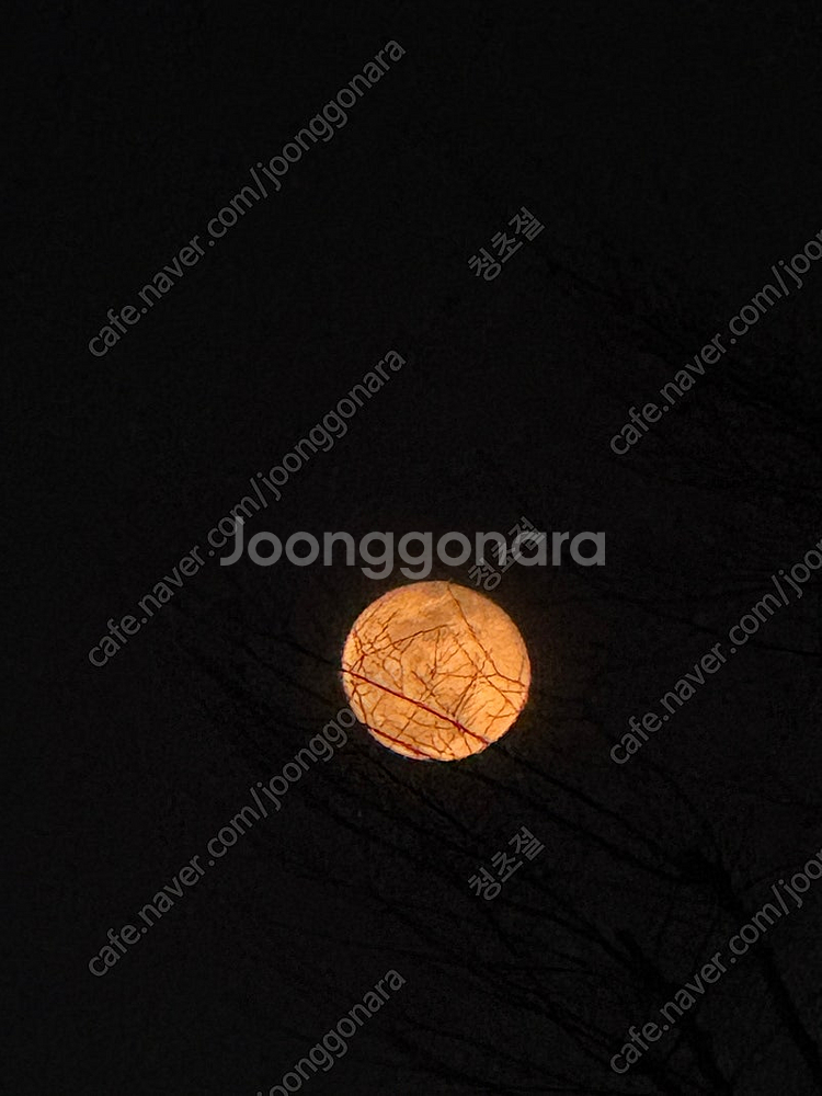 애플워치 에르메스8 구매희망요--0