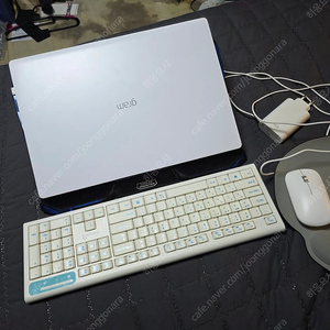 2021 LG 그램 17 17Z95N-OA7BK(인텔i7) 고사양 노트북