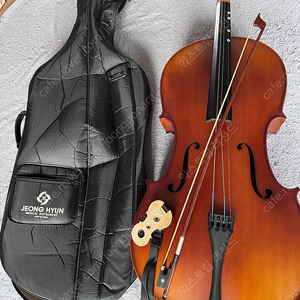 첼로 정현첼로 판매