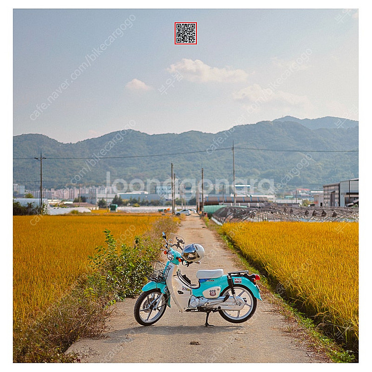 대구) 혼다 슈퍼커브110 민트 블루--4