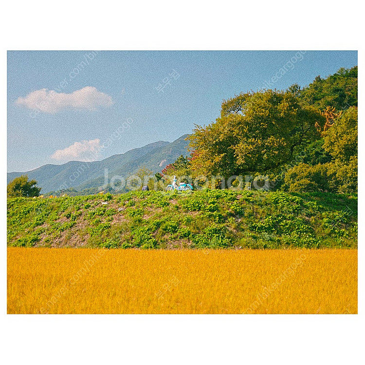 대구) 혼다 슈퍼커브110 민트 블루--6