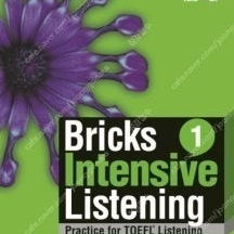 Bricks Intensive Listening 1 - 새 책