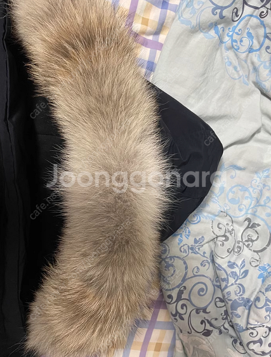 캐나다구스퍼 모자 퍼 털 분실 수선 교체 코요테 폭스 ...--2