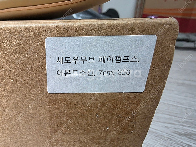 섀도우무브 펌프스 250--4