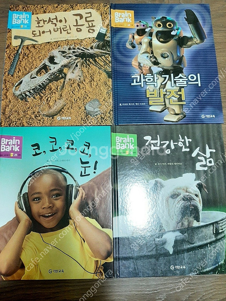 브레인 뱅크 어린이 과학탐구 48권--1
