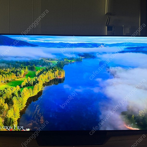 (전남목포) LG OLED TV 스탠드 55B3NNA 55인치 팝니다