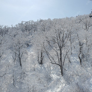 무주 시즌권 소인 2장