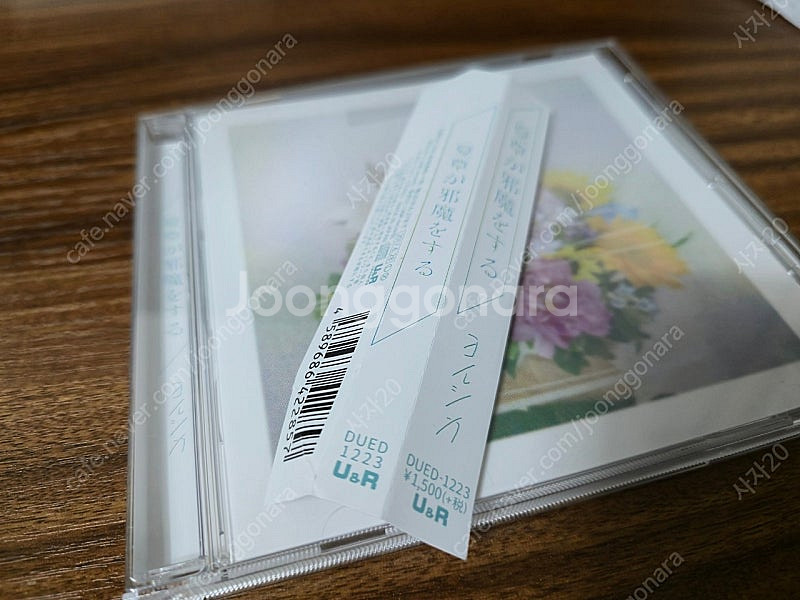 요루시카 미니 1집--0