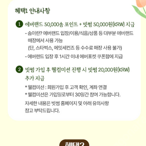 빗썸 에버랜드 쿠폰 판매합니다. (대인 종일권55%+ 솜포인트5만)