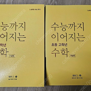 능률 수능까지 이어지는 초등 고학년 수학(대수1,2/개념)