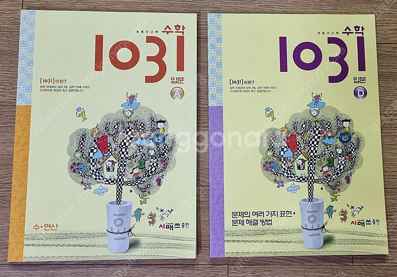 수학 1031 입문 A, 입문 D--0