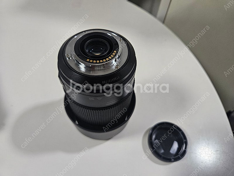 파나소닉 100-300mm ii 마포 렌즈--2