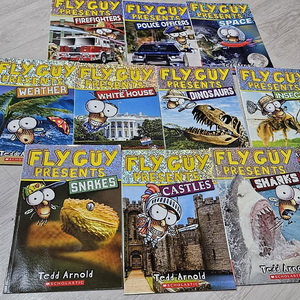 잠수네영어 챕터북 FLY GUY PRESENTS, Marvin redpost, Granny k.Stein, A TO Z mysteries, Judy moody, 마이티로봇