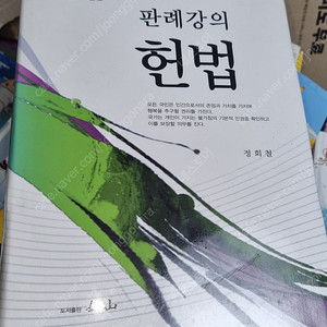 판례강의 헌법