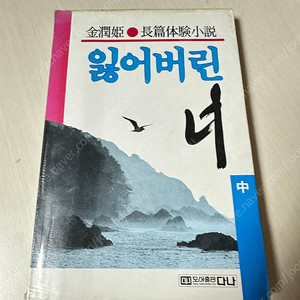 잃어버린 너/출판사 다나/김윤희