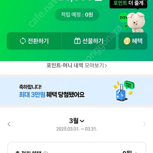 네이버페이 포인트 72만 판매 95%